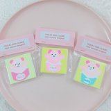 mini canvas magnet