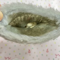 画像6: Knit Dog / Cute Mouse