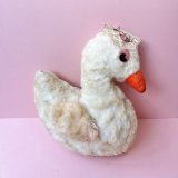 Swan