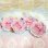 画像1: FANCY TOYS Mini Pouch (1)