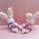 画像2: BABY BUNNY (2)