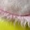 画像4: U.F.O. plush (4)