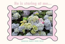 画像9: Souvenir Postcards