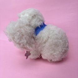 画像2: White Elephant