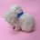画像2: White Elephant (2)