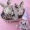 画像4: Twin Bunnies Plush (4)