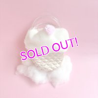Ice cream Bag