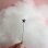 画像5: Sugar Star Wand (5)