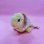 画像5: Baby Turtle Plush