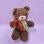 画像2: MUSICAL TEDDY BEAR (2)