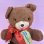 画像1: MUSICAL TEDDY BEAR (1)