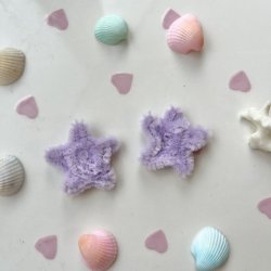 画像2: tiny starfish