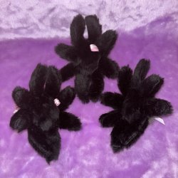 画像2: Spider "MOP" Plush キーホルダー