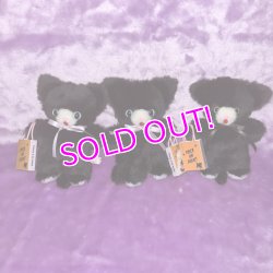 画像1: BLACK KITTEN PLUSH