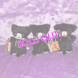 画像2: BLACK KITTEN PLUSH