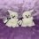 画像1: Mini Ghost Plush (1)