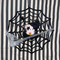 画像2: Halloween Popuri with Spiderweb Ornament