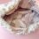 画像4: Fur Friends Bag 