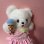 画像6: Ice cream  bear