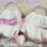 画像5: Bunny Bag (5)