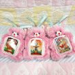 画像1: Pass Case Plush Keychain (1)