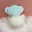 画像8: FANCY PLUSH  (8)