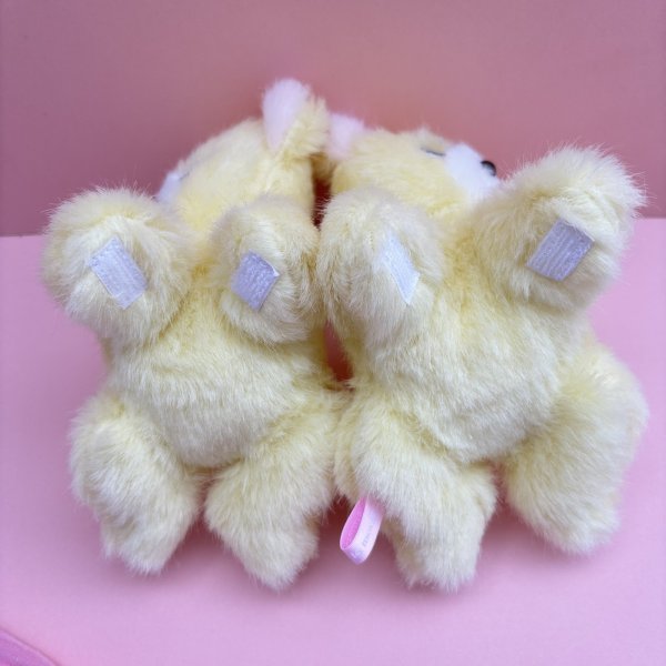 画像3: BABY BEAR (3)