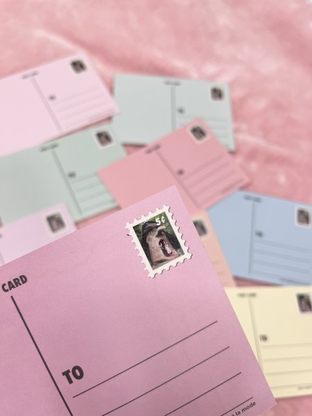 画像12: Souvenir Postcards (12)