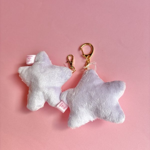 画像2:  STAR FISH (2)