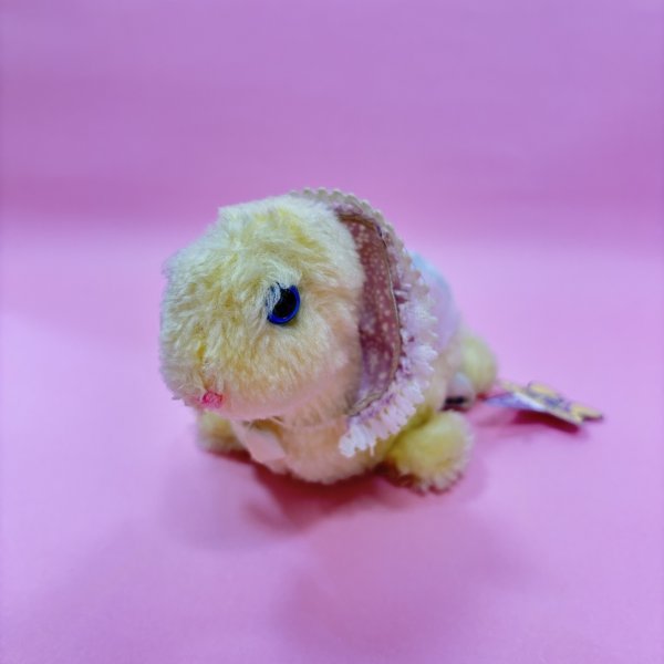 画像5: Baby Turtle Plush (5)