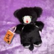 画像7: BLACK KITTEN PLUSH (7)