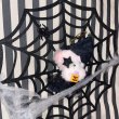 画像3: Halloween Popuri with Spiderweb Ornament (3)