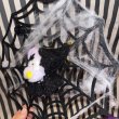 画像4: Halloween Popuri with Spiderweb Ornament (4)