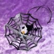 画像1: Halloween Popuri with Spiderweb Ornament (1)