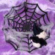 画像5: Halloween Popuri with Spiderweb Ornament (5)