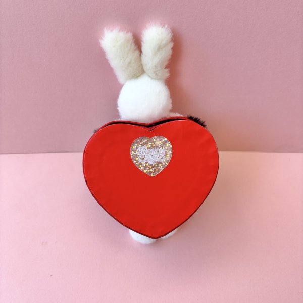 画像2: Tuxedo Bunny Box (2)