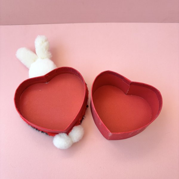 画像3: Tuxedo Bunny Box (3)