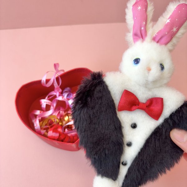 画像4: Tuxedo Bunny Box (4)